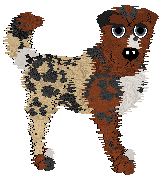Brown and cream mutt with black spots posing facing the viewer.